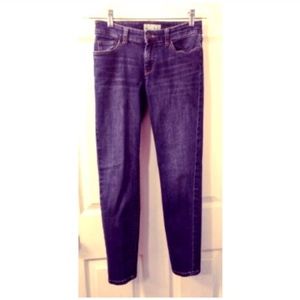 Banana Republic Jeans Blue Petite 25/0 Straight
